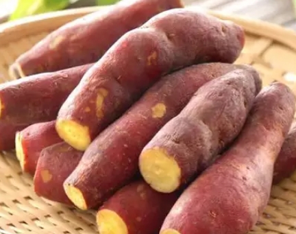 原阳红薯苗-红薯有哪些好处？