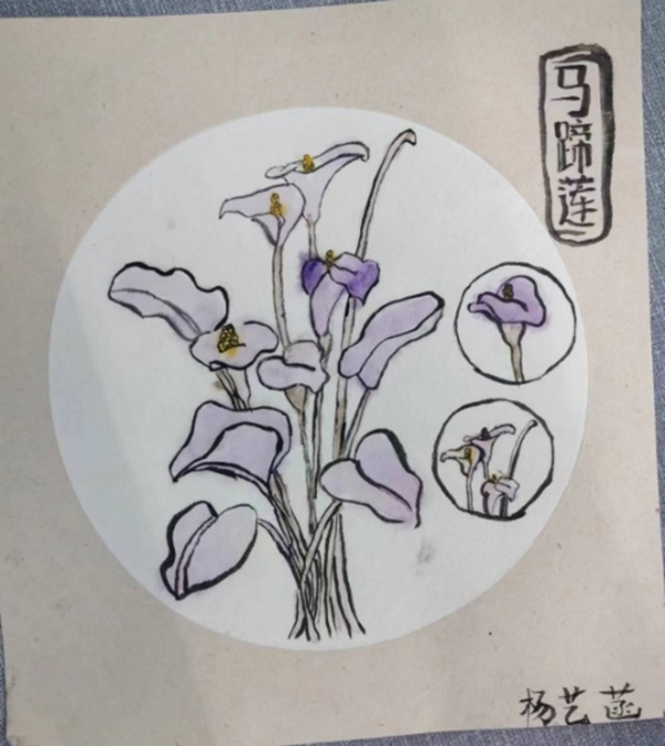 ok1133诸侯快讯网